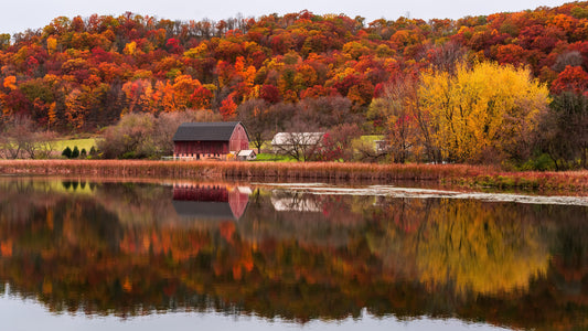 minnesota fall 2025 landscape